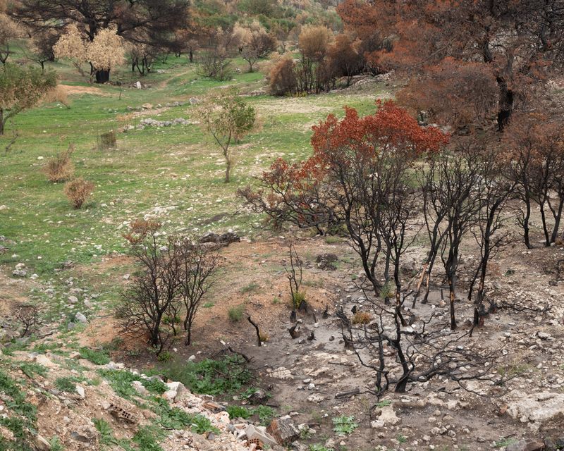 © Mathis Bauer - Image from the Lightheaded photography project