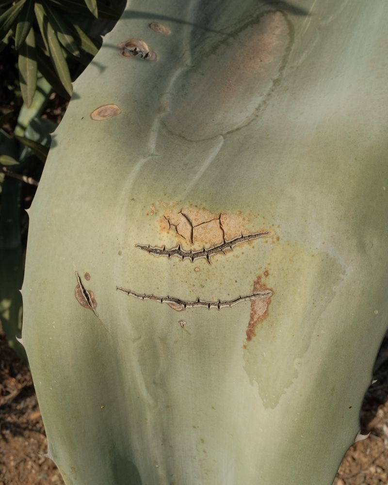 © Mathis Bauer - Image from the Lightheaded photography project