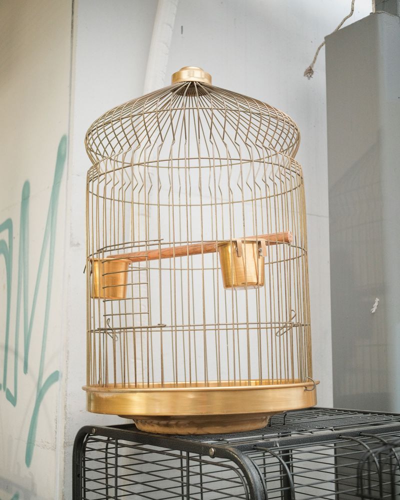 © Mathis Bauer - Image from the Lightheaded photography project