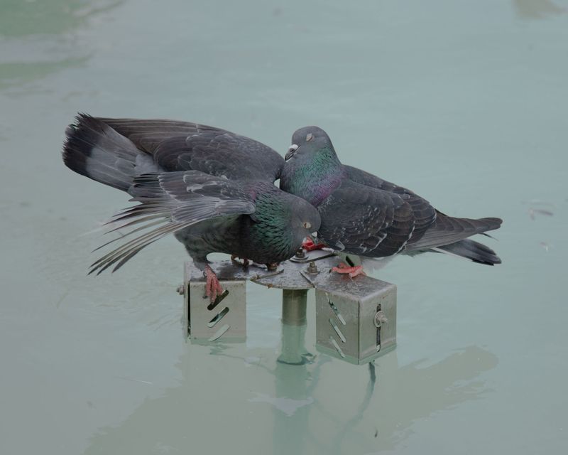 © Mathis Bauer - Image from the Lightheaded photography project