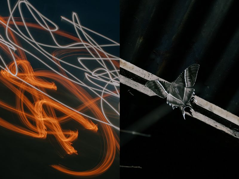 © Reza Saifullah - The light from the campfire and the lamps illuminated the butterflies that had landed on the roof of the house, 2025.