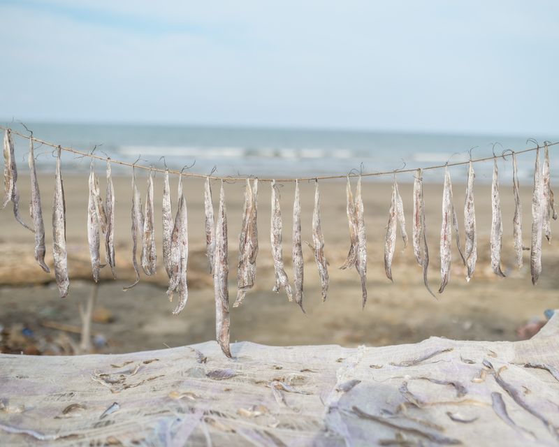 © Reza Saifullah - Image from the Between Wave and Hope photography project