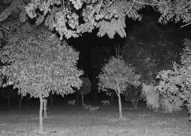 © Natalia Kamenetskaya - Image from the Makom Acher photography project