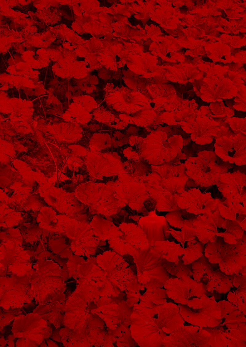 © Natalia Kamenetskaya - Image from the Makom Acher photography project