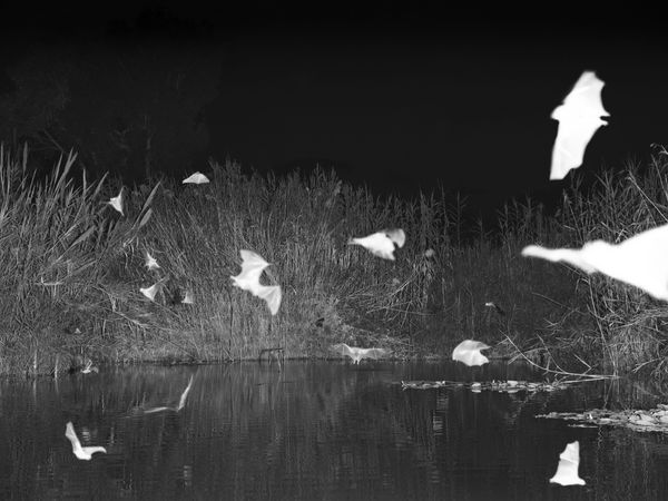 © Natalia Kamenetskaya - Image from the Makom Acher photography project