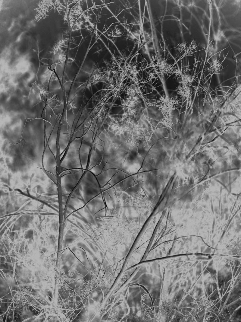 © Natalia Kamenetskaya - Image from the Makom Acher photography project