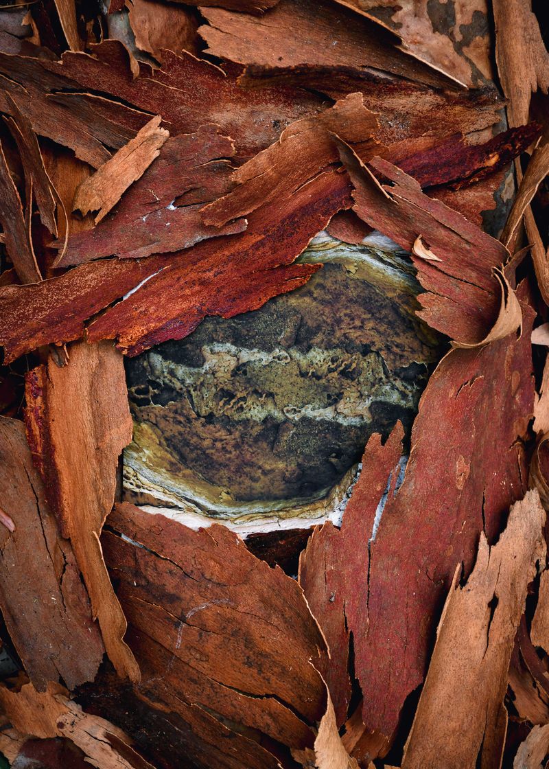 © Micaela Muzi - Image from the Paths to the Inner Core photography project