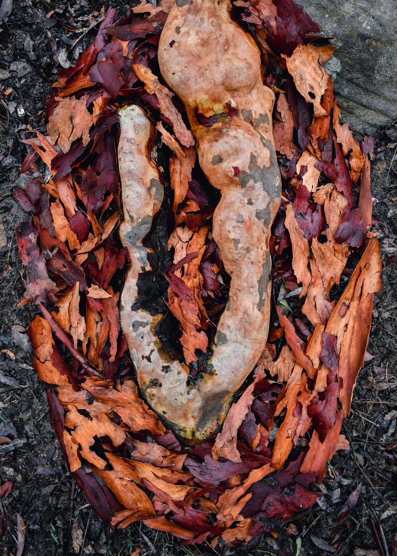 © Micaela Muzi - Image from the Paths to the Inner Core photography project