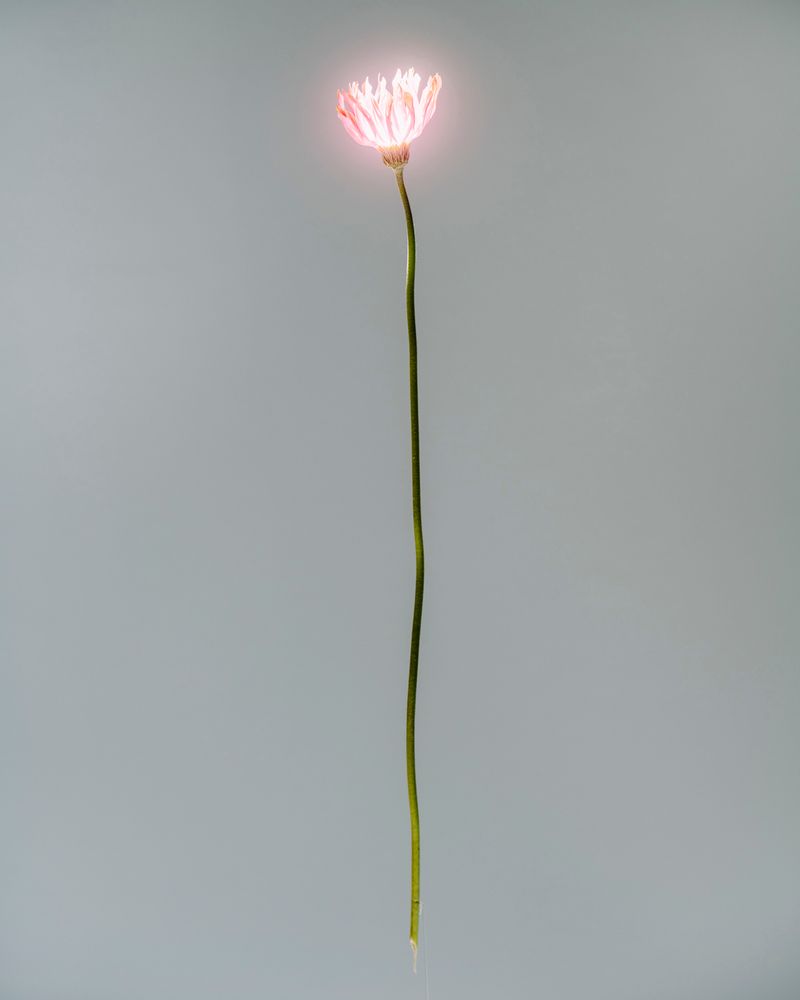 © Jann Höfer - Image from the One Million Years photography project