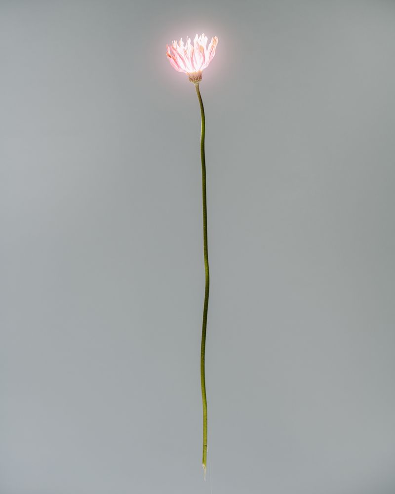 © Martin Lamberty and Jann Höfer - Image from the One Million Years photography project