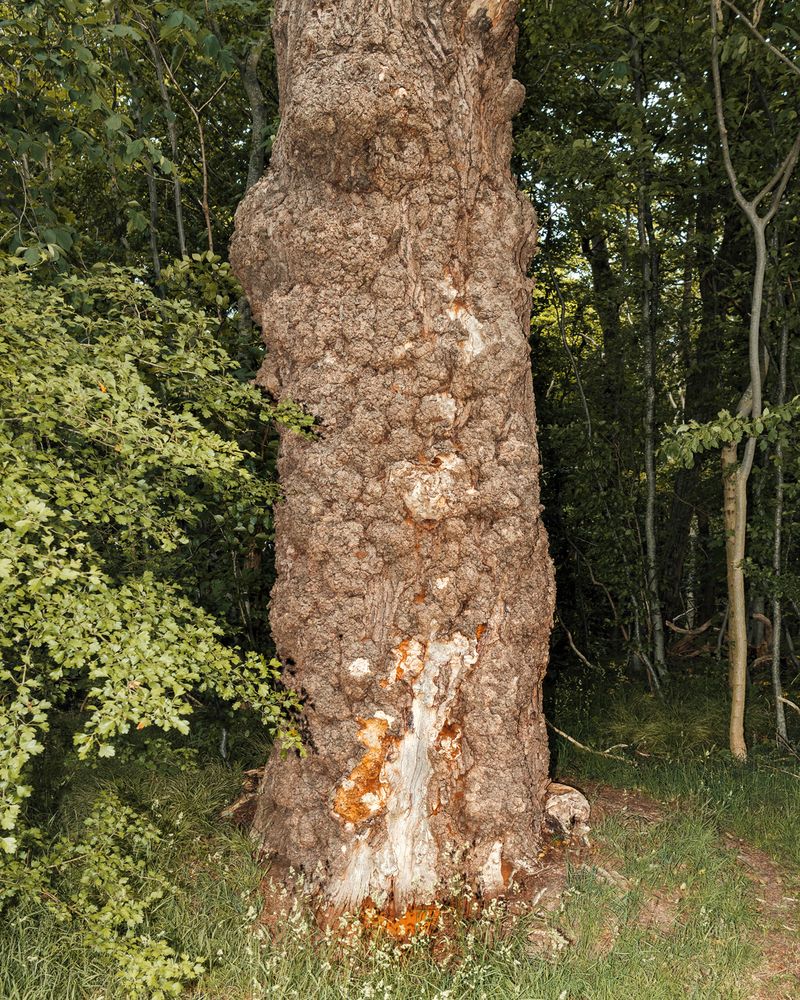 © Jann Höfer - Image from the One Million Years photography project