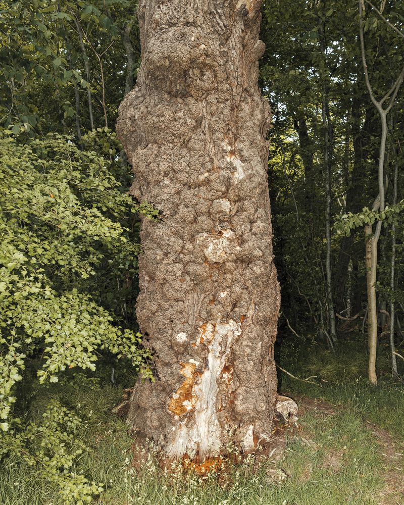 © Martin Lamberty and Jann Höfer - Image from the One Million Years photography project