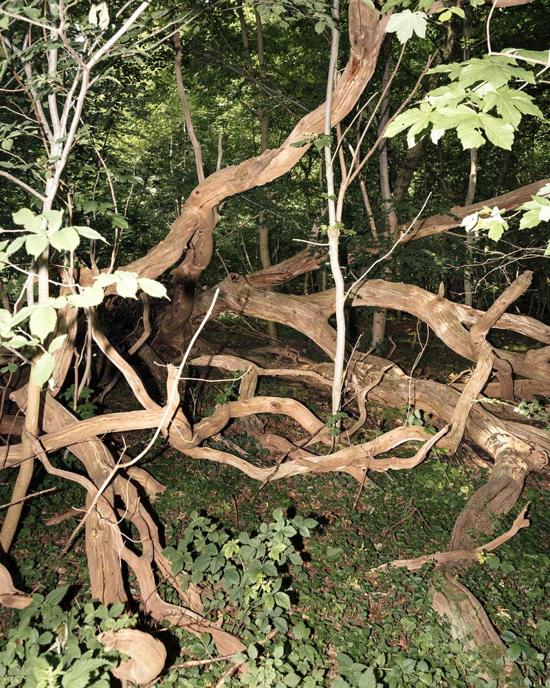 © Jann Höfer - Image from the One Million Years photography project