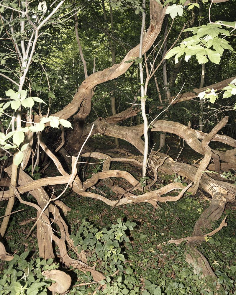 © Martin Lamberty and Jann Höfer - Image from the One Million Years photography project