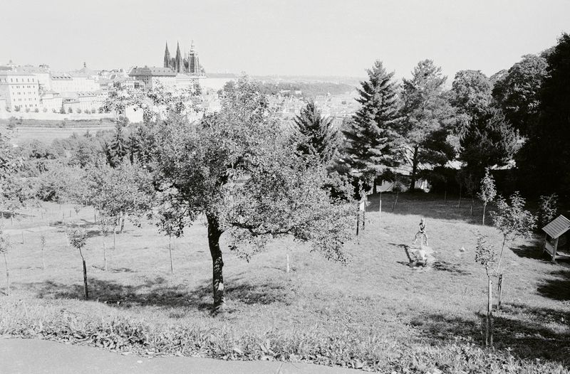 Image from a project on PhMuseum