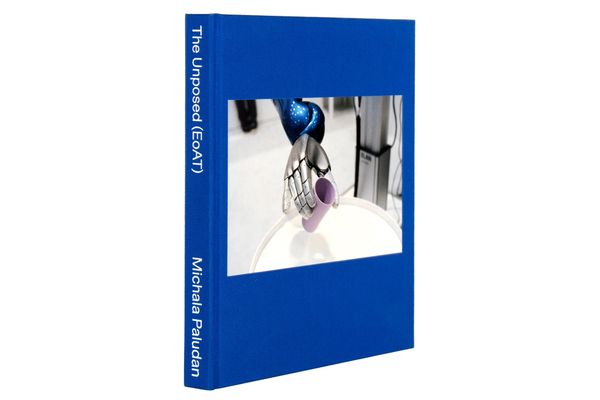 Image from a project on PhMuseum