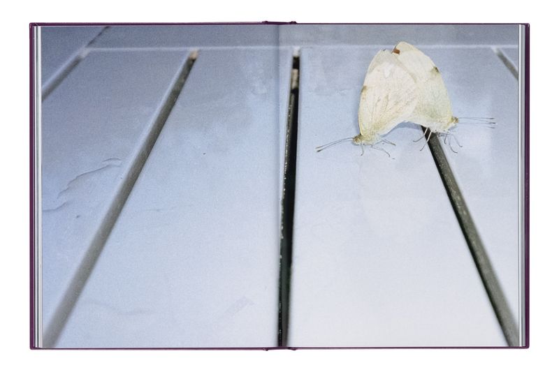 Image from a project on PhMuseum