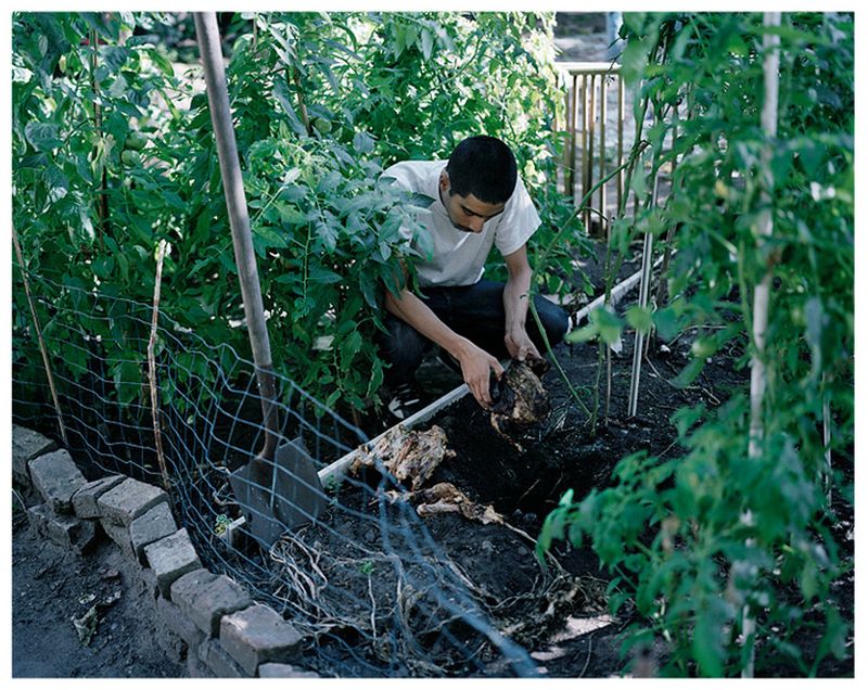 © Katie Swietlik - Image from the The Nature of Eating photography project