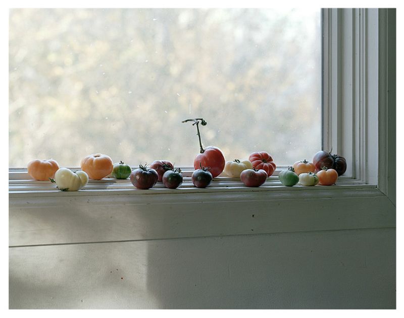 © Katie Swietlik - Image from the The Nature of Eating photography project
