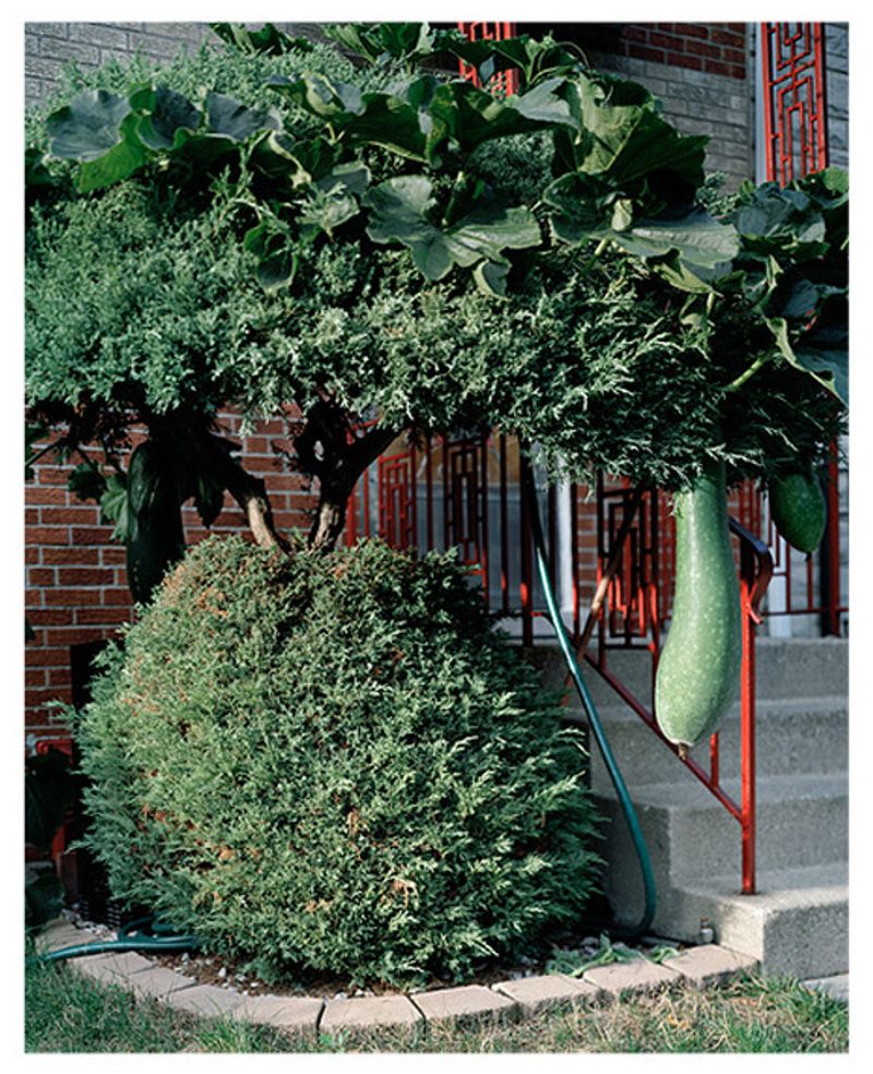 © Katie Swietlik - Image from the The Nature of Eating photography project