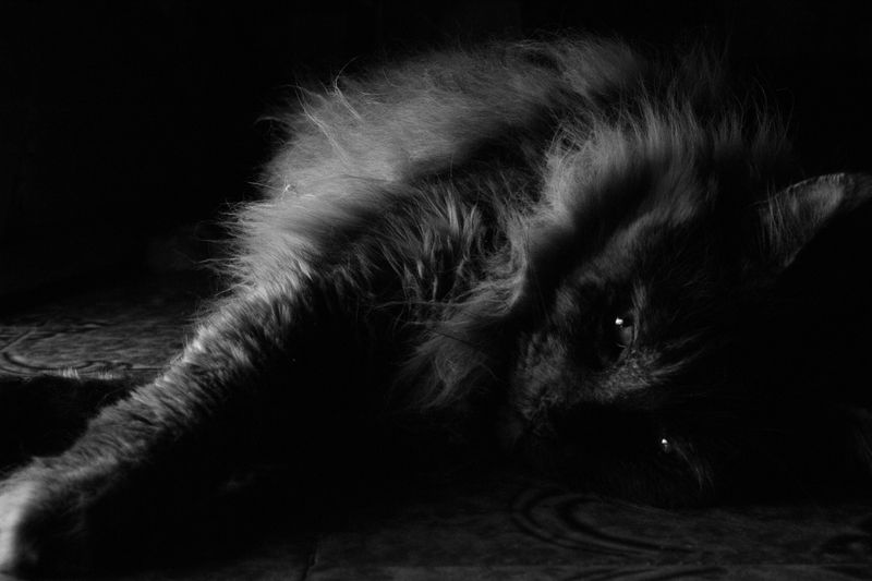 © Sara Sepulcri - Image from the Prayer photography project