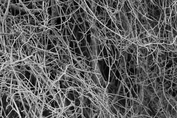© Sara Sepulcri - Image from the Prayer photography project