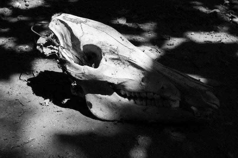 © Sara Sepulcri - Image from the Prayer photography project