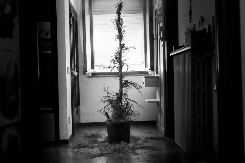 © Sara Sepulcri - Image from the Prayer photography project