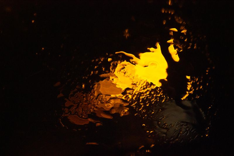© Sara Sepulcri - Image from the THE MUSIC OF BUTTERFLY WINGS photography project