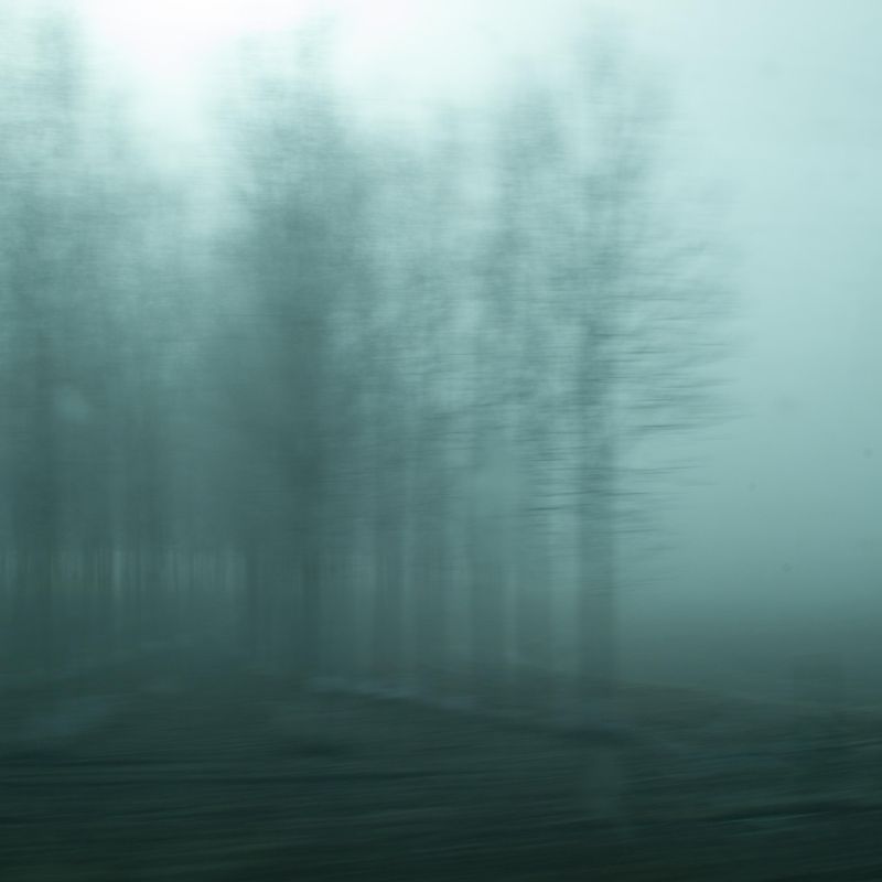 © Sara Sepulcri - Image from the THE MUSIC OF BUTTERFLY WINGS photography project