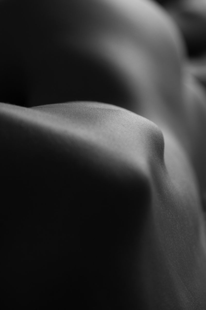 © Sara Sepulcri - Image from the THE MUSIC OF BUTTERFLY WINGS photography project