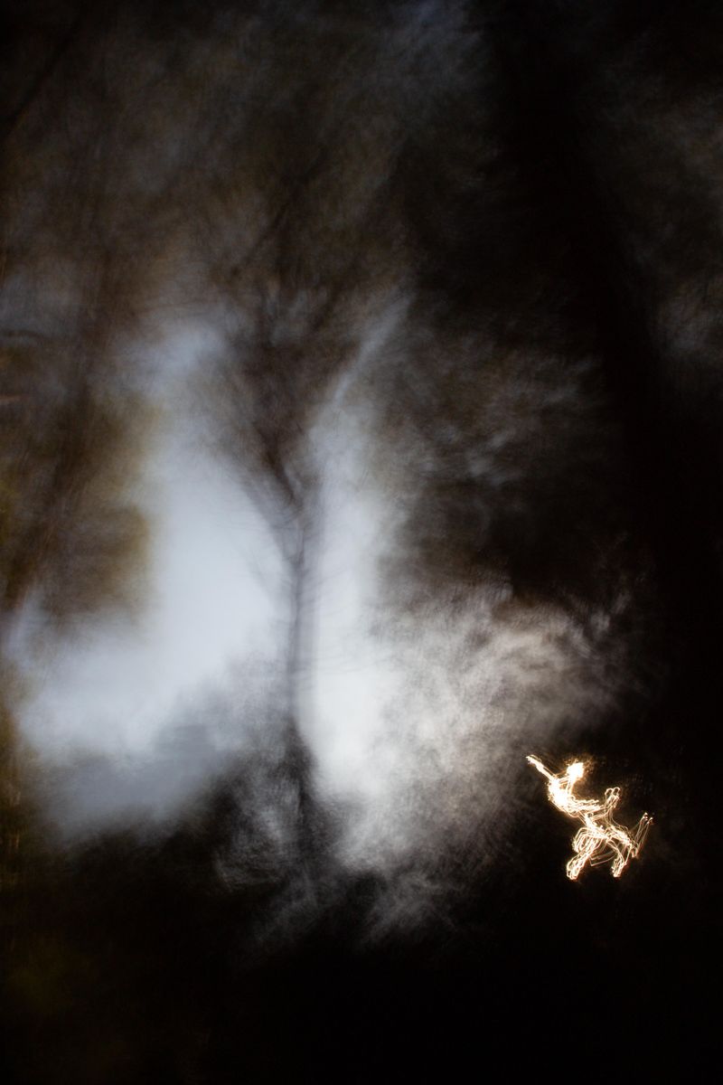 © Sara Sepulcri - Image from the THE MUSIC OF BUTTERFLY WINGS photography project