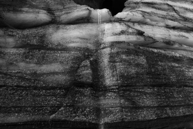 © Sara Sepulcri - Image from the THE MUSIC OF BUTTERFLY WINGS photography project