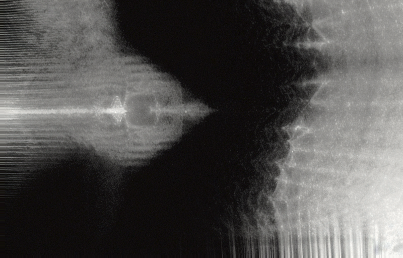 © Sara Sepulcri - Image from the Eco-Morphosis: The Evolution of Language and Body photography project