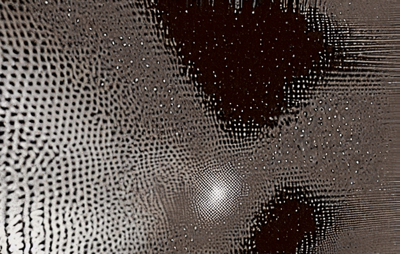 © Sara Sepulcri - Image from the Eco-Morphosis: The Evolution of Language and Body photography project