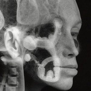 Eco-Morphosis: The Evolution of Language and Body