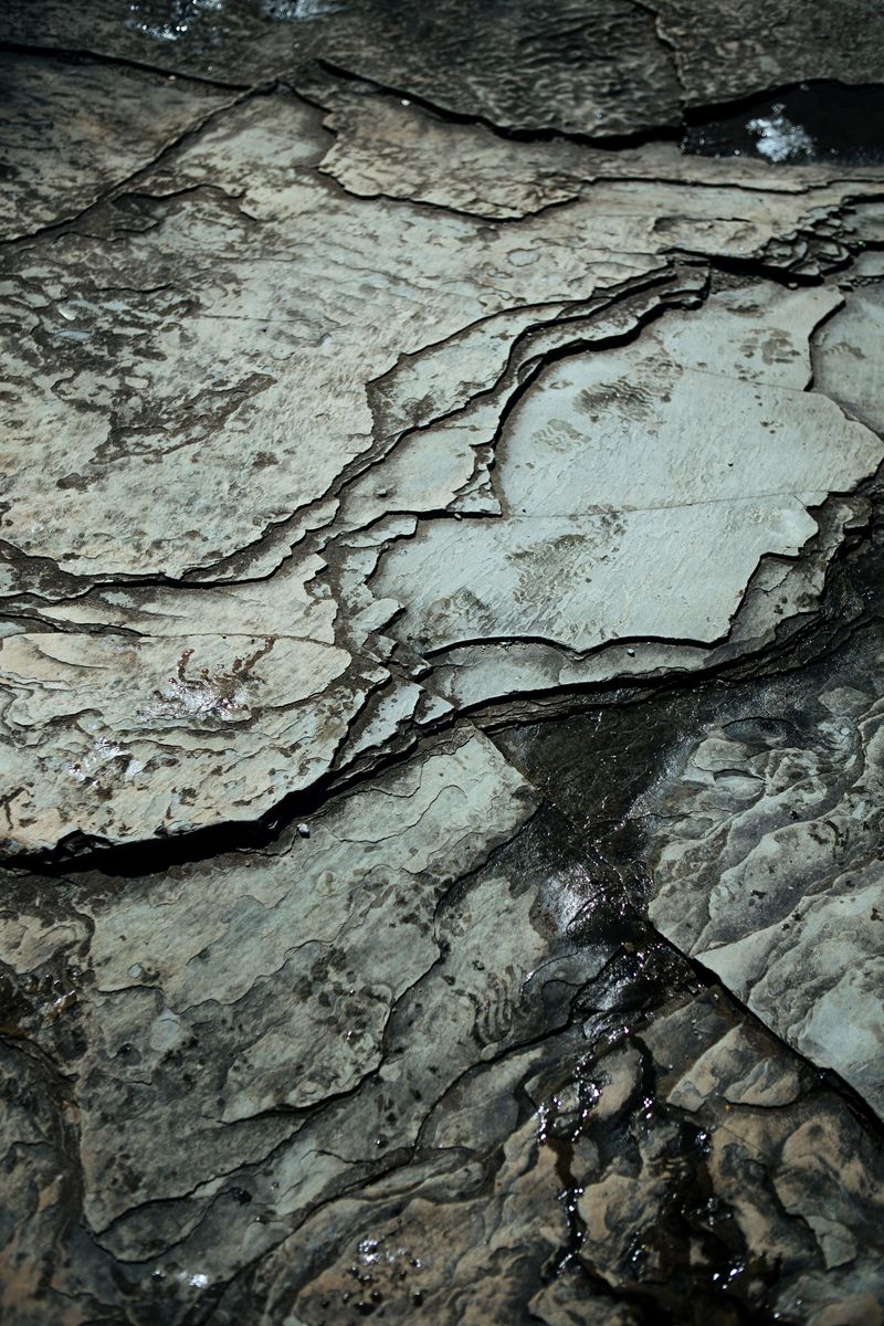 © Kristina Dittmar - Image from the You Should Meet My Mother photography project