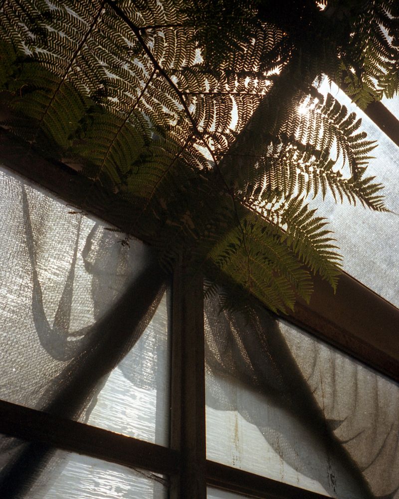 © Kristina Dittmar - Image from the You Should Meet My Mother photography project