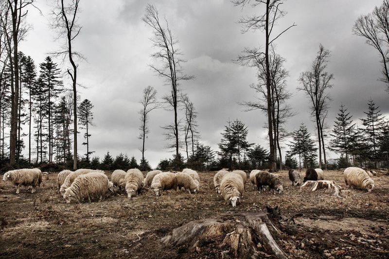 © Alessandro Vincenzi - Image from the Malanka photography project