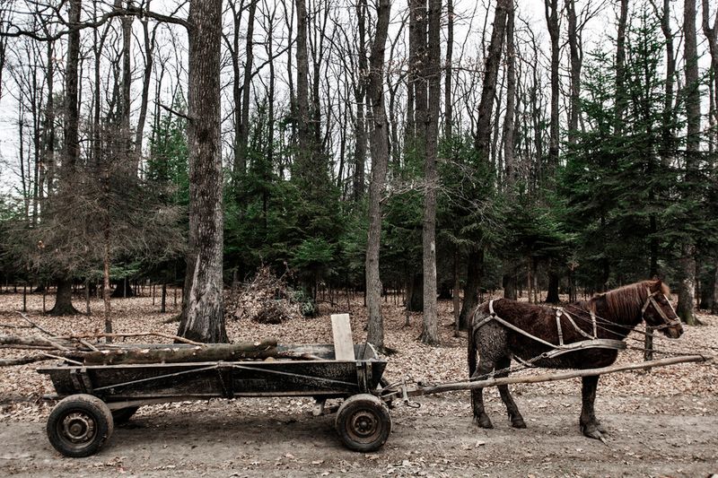 © Alessandro Vincenzi - Image from the Malanka photography project