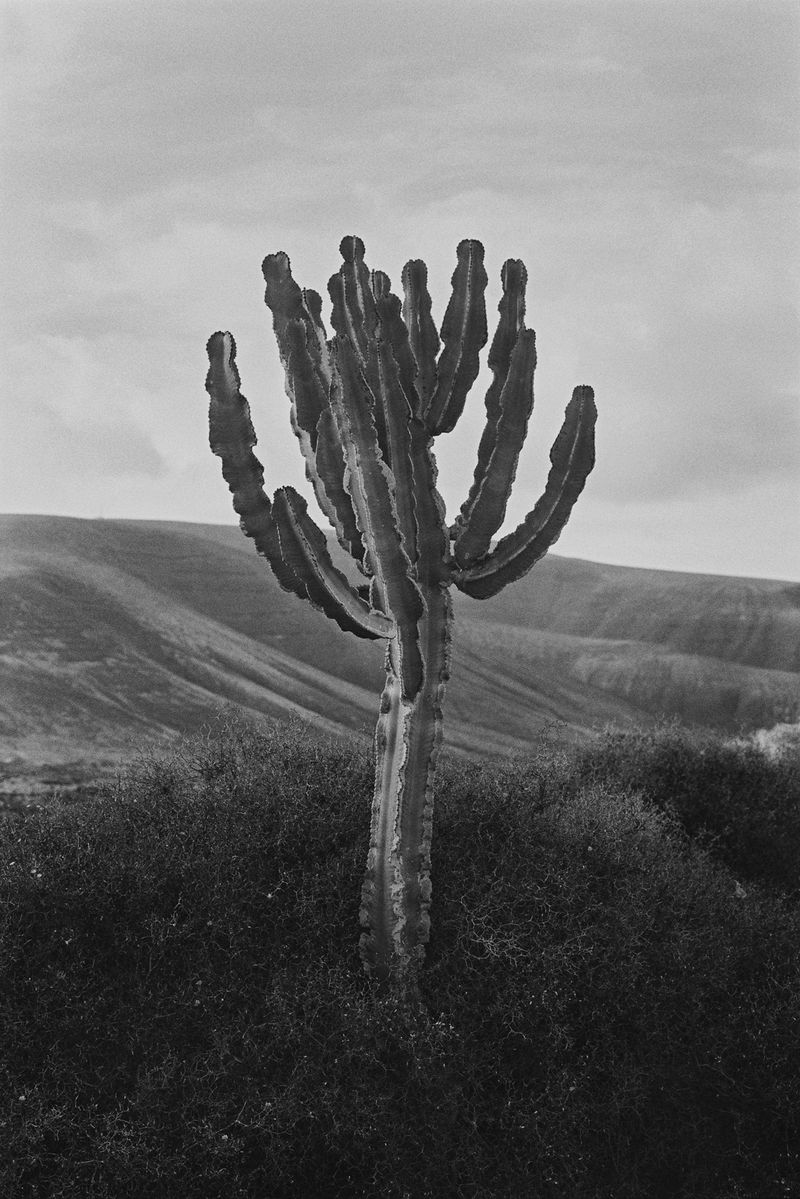 © Alessandro Vincenzi - Image from the Man, Water and Fire photography project
