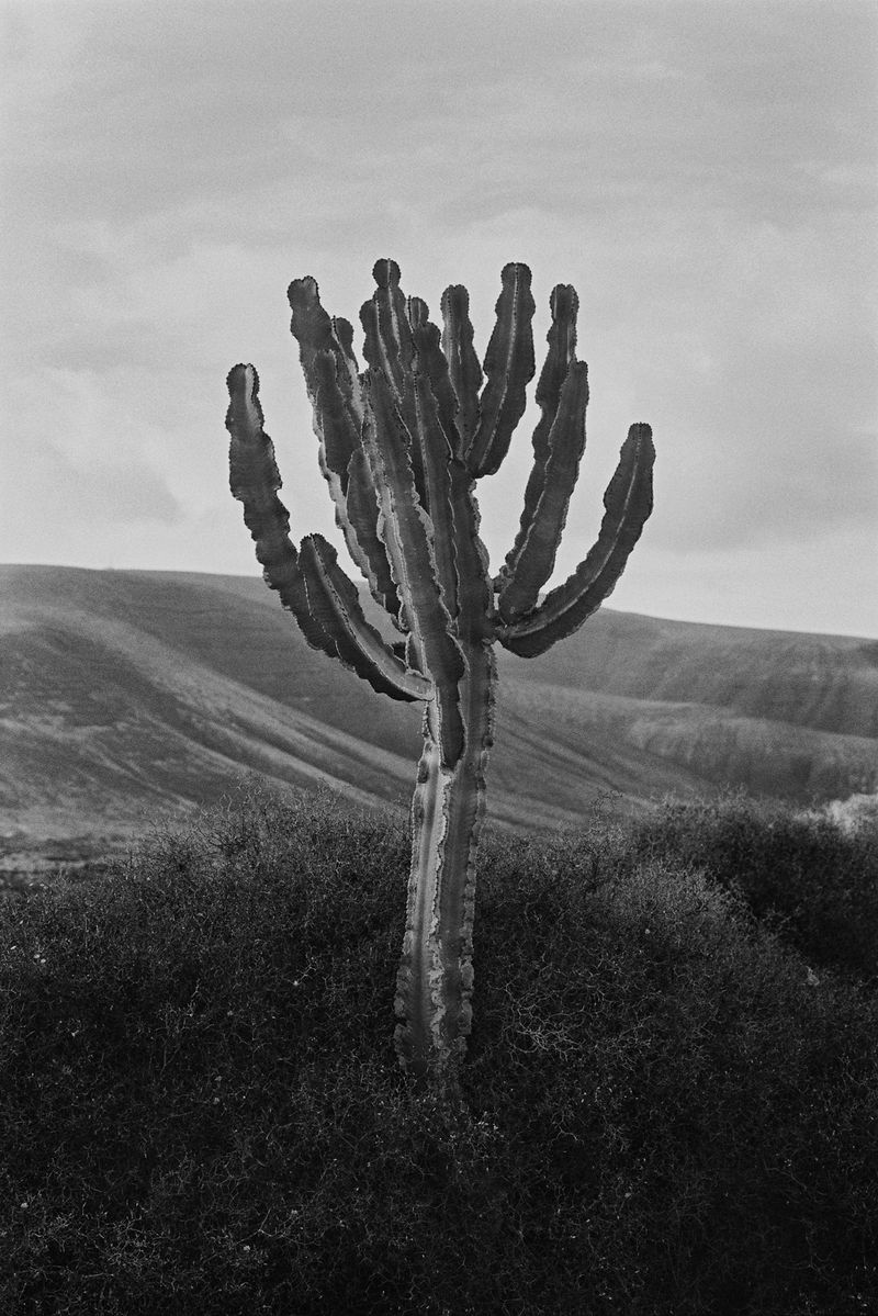 © Alessandro Vincenzi - Image from the Man, Water and Fire photography project