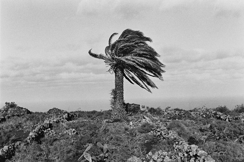 © Alessandro Vincenzi - Image from the Man, Water and Fire photography project