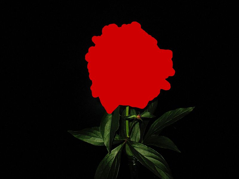 © Marja Saleva - Image from the He is so obsessed with me photography project