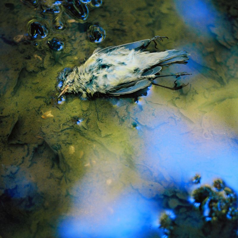 © Chauvin Guillaume - Image from the France contée photography project