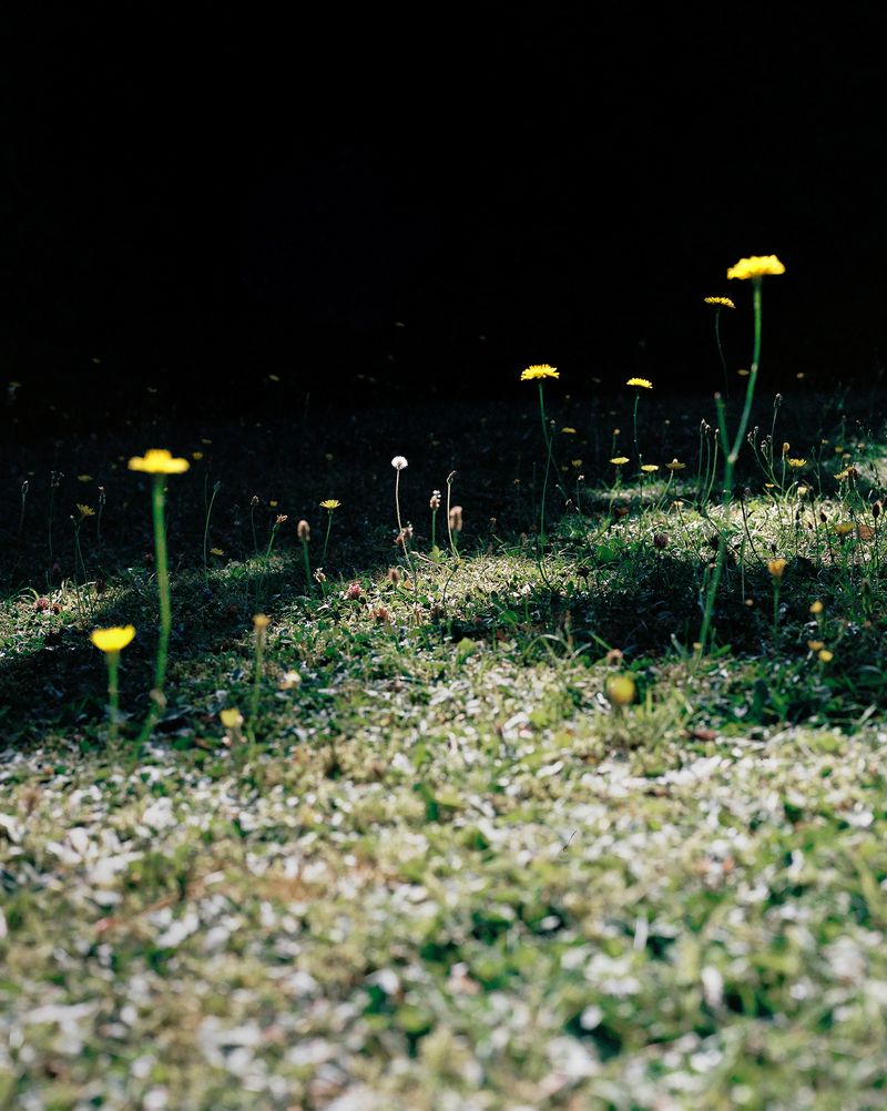 © Chauvin Guillaume - Image from the France contée photography project