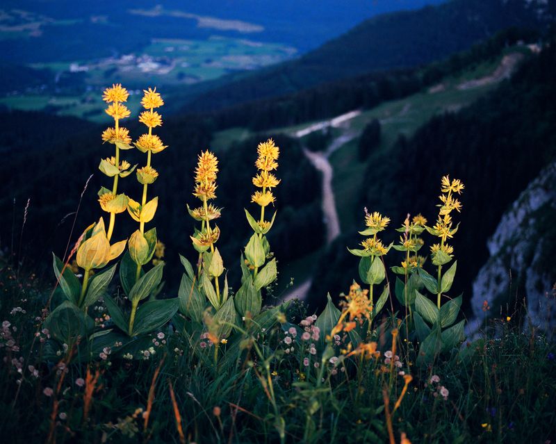 © Chauvin Guillaume - Image from the France contée photography project