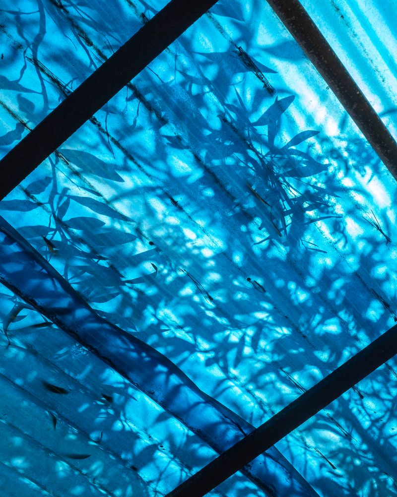 © Chauvin Guillaume - Image from the Northern Cyprus : the impossible island photography project