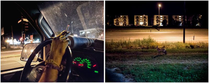 © Giovanni Capriotti - Night hunter. Montreal, Quebec 2016