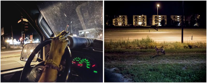 © Giovanni Capriotti - Night hunter. Montreal, Quebec 2016